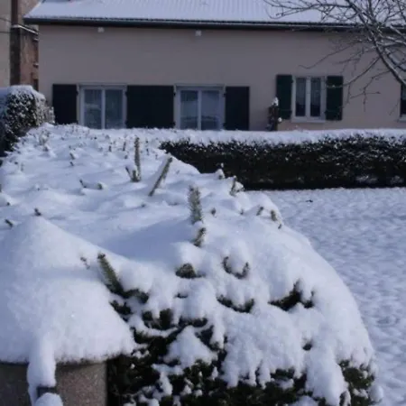 Dom wakacyjny Cozy Au Coeur Des Vosges : Terrasse, Jardin, Proche Gerardmer, Animaux Bienvenus - Fr-1-589-76