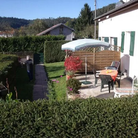 Cozy Au Coeur Des Vosges : Terrasse, Jardin, Proche Gerardmer, Animaux Bienvenus - Fr-1-589-76 Ferienhaus